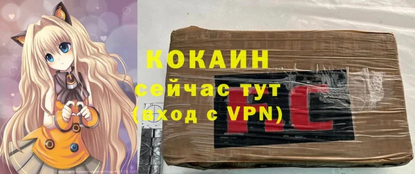 ПСИЛОЦИБИНОВЫЕ ГРИБЫ Осташков