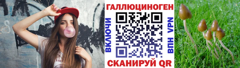 Галлюциногенные грибы Psilocybine cubensis  где можно купить   блэк спрут tor  Касимов 